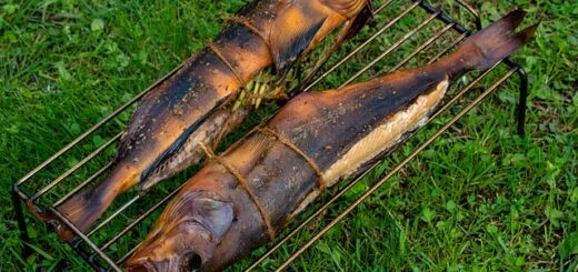 Moja przygoda z domowym wędzeniem ryb – krok po kroku, od wyboru drewna po uzyskanie idealnego smaku - 1 2025